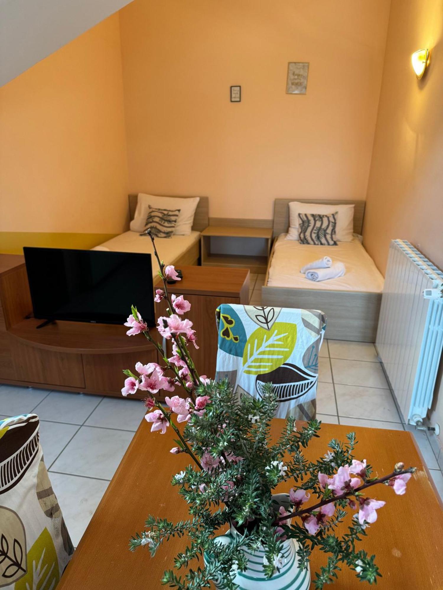 Apartament Ariela At The Beach Stara Novalja Zewnętrze zdjęcie